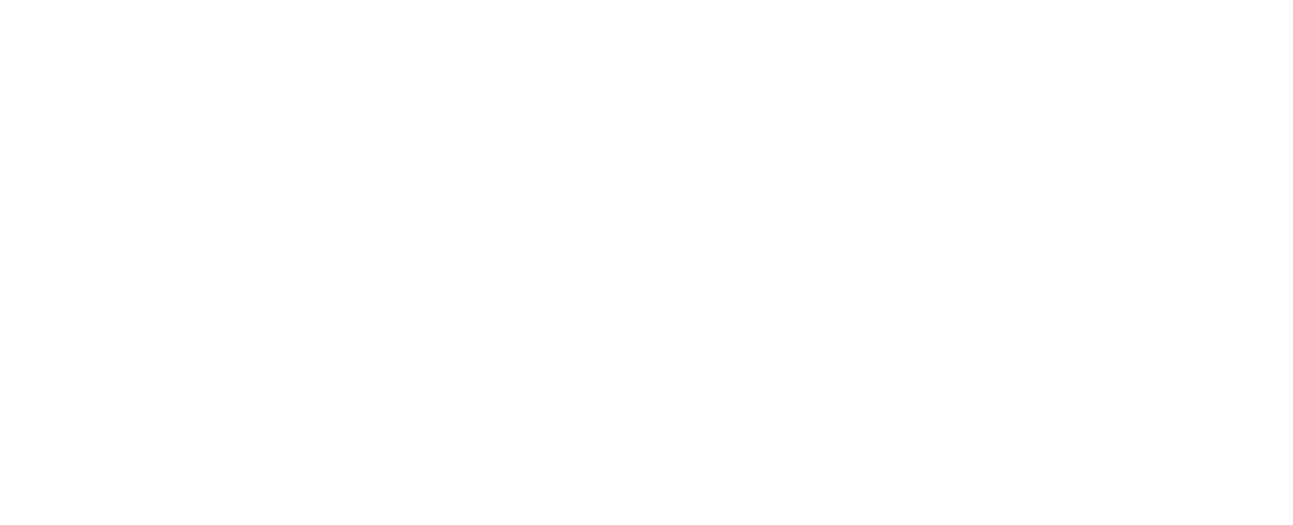 Mana Motors
